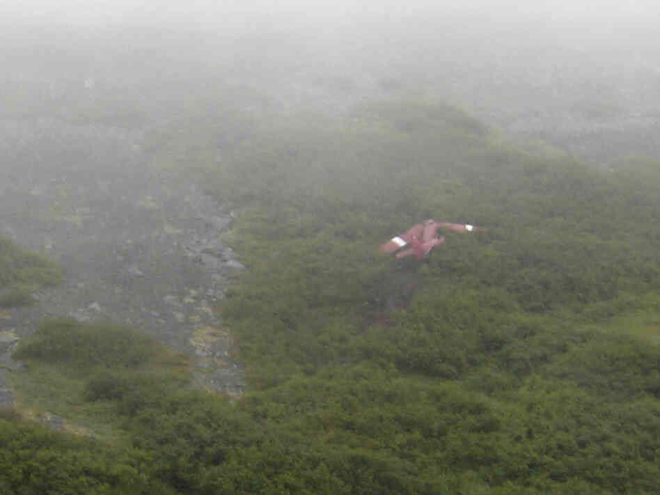 Stevens crashed plane Stevens crashed plane